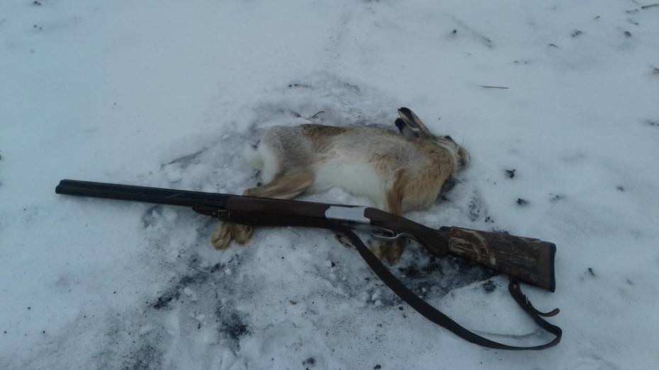 В Хохольском районе у браконьеров изъяли 8 ружей в первый день охоты