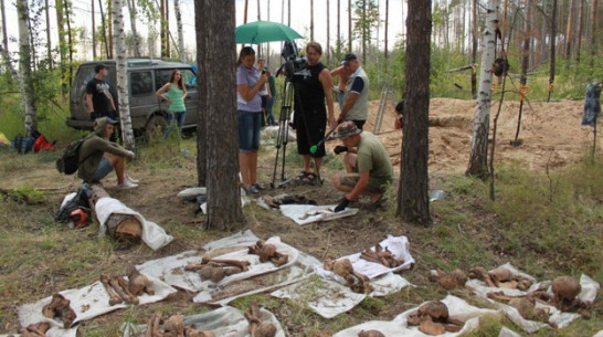 Воронежские поисковики обнаружили 3 расстрельные ямы в Дубовке