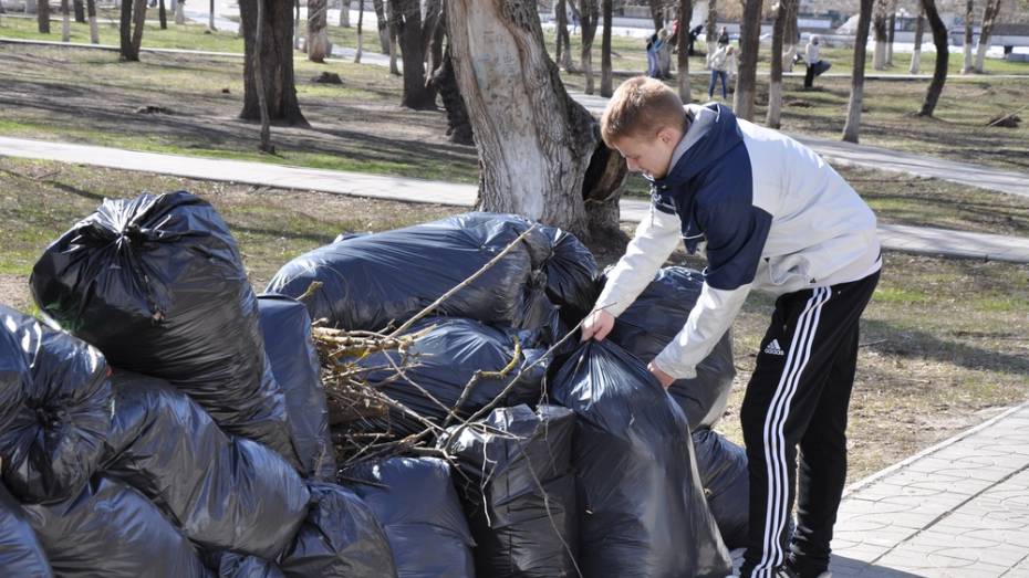Павловские чиновники собрали в городском парке 150 мешков мусора