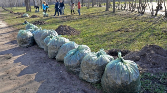 Губернатор позвал жителей Воронежской области на субботник