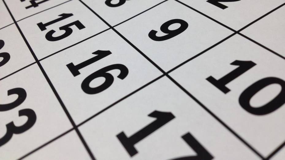 Стало известно, когда воронежцев ждут следующие длинные выходные