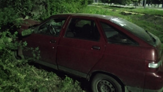 В Воронежской области пьяная женщина врезалась в дерево: пострадал ребенок