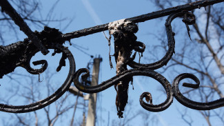 Труп мужчины обнаружили в сгоревшем доме в Воронежской области