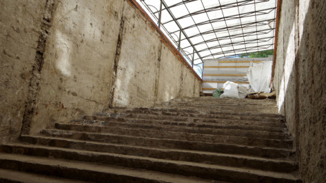 Концессией на пешеходные переходы в Воронеже заинтересовался только 1 инвестор