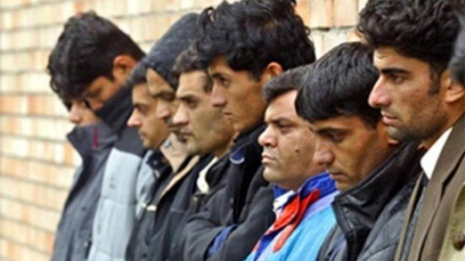 В новом году число трудовых мигрантов в России снизилось на 70%