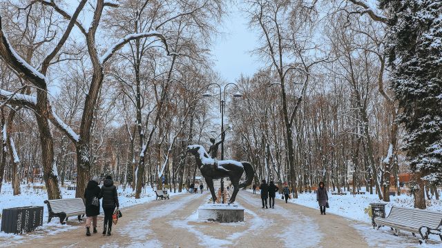 Главный метеоролог Воронежской области рассказал о погоде перед Новым годом