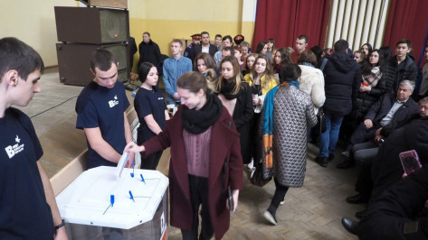 Воронежцы проголосовали за создание зеленого пояса вокруг города