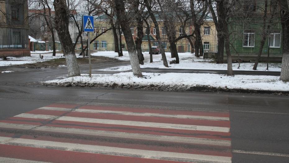 ГИБДД предложила 9 мест для размещения в Воронеже приподнятых пешеходных переходов