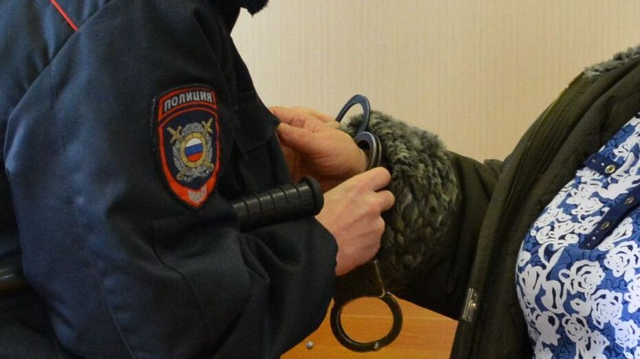 Жительница Воробьевского района получила 6 лет колонии за убийство 70-летнего сожителя