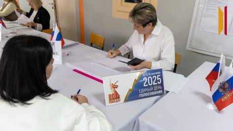 В Воронежской области начался основной день голосования на выборах депутатов регионального парламента и городской думы