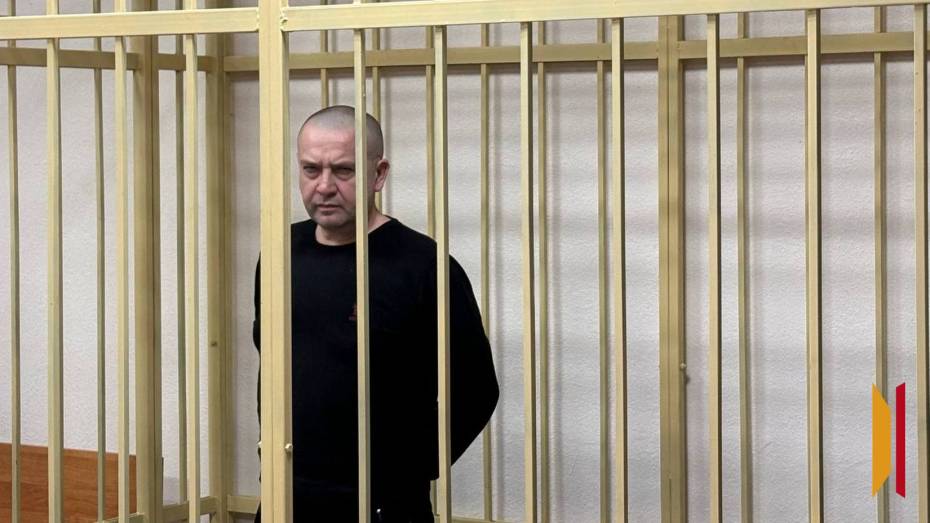 «Я старался жить по закону»: воронежский суд отправил предпринимателя, пытавшегося взорвать экс-главу Рамонского района, в колонию на 17 лет