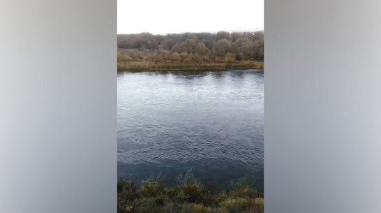 Администрация Рамонского района опровергла информацию о разливе нефтепродуктов в реке Дон под Воронежем