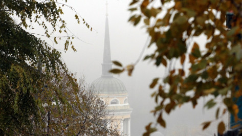 Синоптики предупредили о тумане в Воронежской области