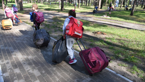 Базовую стоимость путевки в детские лагеря определили в Воронежской области
