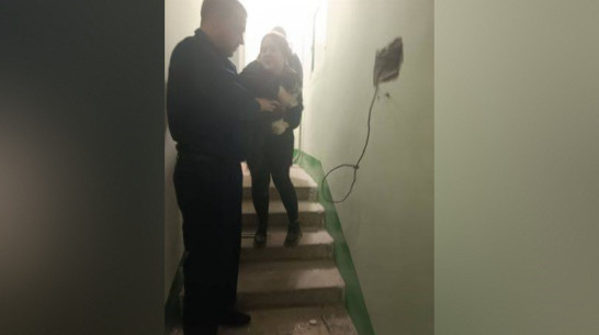 В Воронеже спасли кота, застрявшего в стене дома