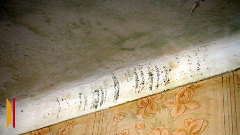В Воронежской области многодетная мать осталась без квартиры из-за сырости и плесени