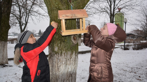 Поворинские школьники приняли участие в акции  «Покормите птиц зимой»