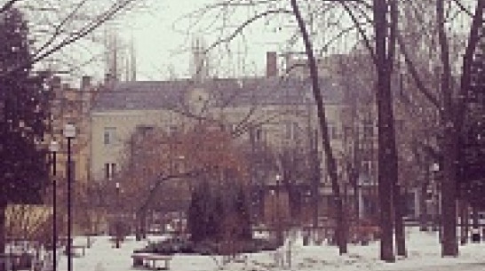 «Зимняя» погода в Воронеже продлится всю неделю