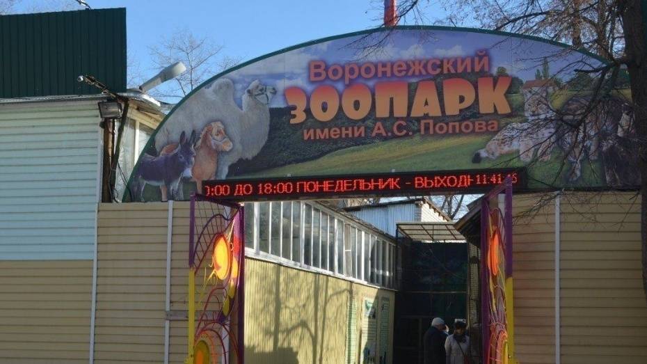 Горожан пригласили на день рождения Воронежского зоопарка