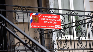 В Воронежской области с 17 февраля стартует подомовой обход избирателей