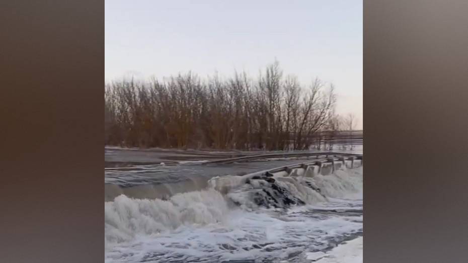 В Острогожском районе Воронежской области из-за подтопления перекрыли дорогу в районе села Криница