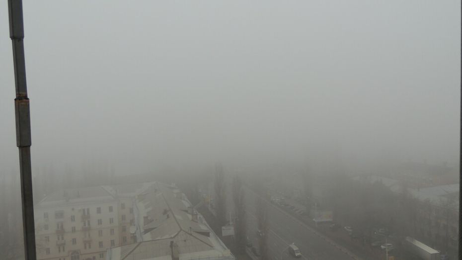 Желтый уровень опасности в Воронежской области объявили из-за тумана