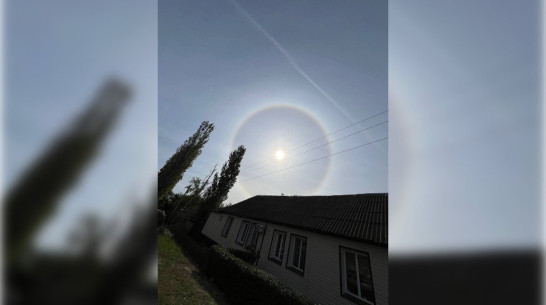 В Воронежской области в небе заметили огромное солнечное гало