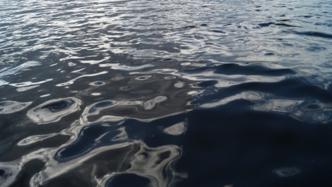 Житель Воронежской области сорвался с моста в реку 