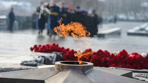 Глава областного центра Сергей Петрин поздравил воронежцев с Днем защитника Отечества