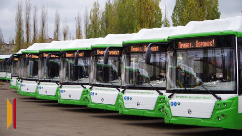 В Воронеже маршруты №23 и №24 будут обслуживать автобусы большого класса