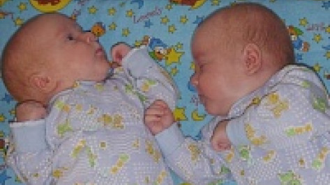 В Воронежской области двойни стали рождаться чаще