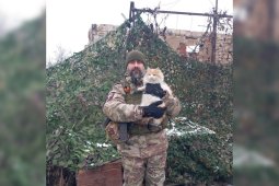 «Всюду ходил за мной, ничего не боялся». Воронежец рассказал, как вернулся с СВО с рыжим котом