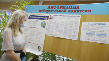 Без происшествий. В Воронеже прошел 1-й день голосования по поправкам в Конституцию