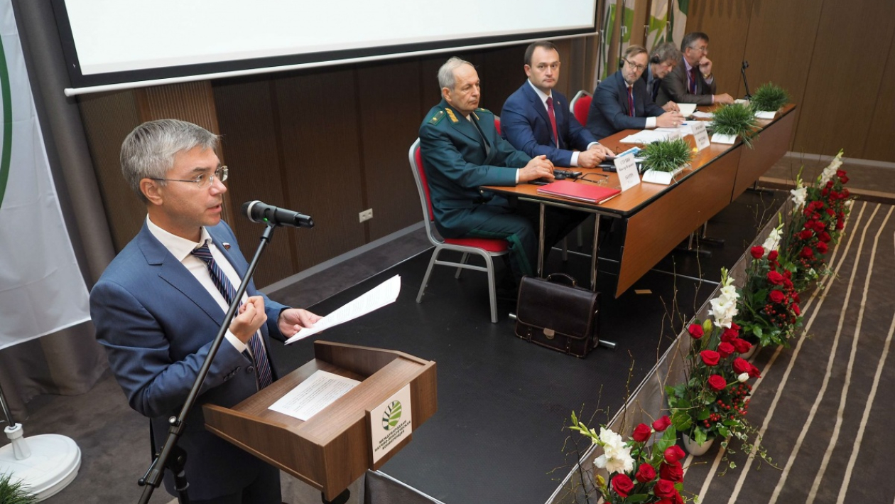 Международные эксперты в Воронеже обсудили зеленую инфраструктуру городов
