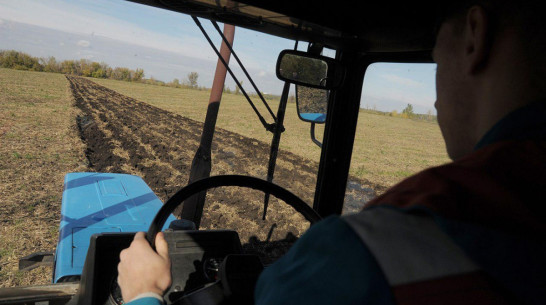 Тест РИА «Воронеж». Какой из вас работник сельского хозяйства?