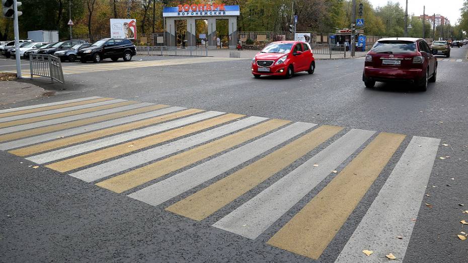 На обновление дорожной разметки в Воронеже потратят до 140 млн рублей