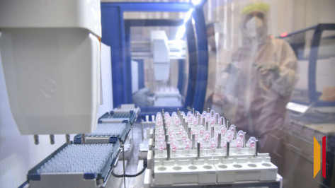 Воронежцам рассказали о новом штамме коронавируса XFG