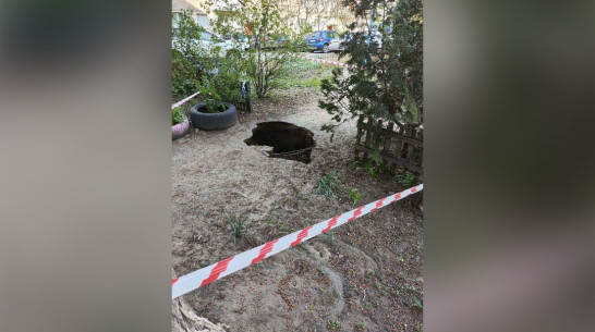 Во дворе на Ленинском проспекте в Воронеже провалился грунт