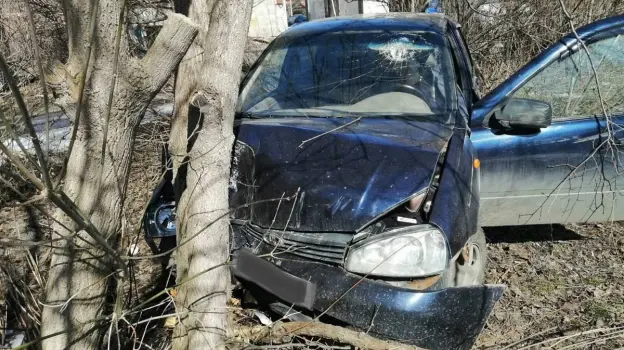 Воронежский водитель «Лады» не справился с управлением и врезался в дерево: мужчина погиб