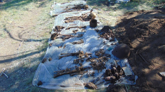 Богучарские поисковики обнаружили останки 4 красноармейцев