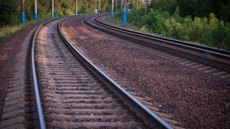 В Воронеже поезд сбил 3-летнего ребенка