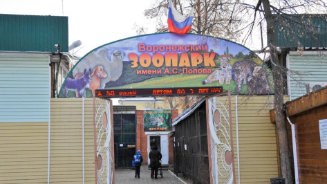 Воронежцы смогут получить билет в зоопарк в обмен на помощь в уборке