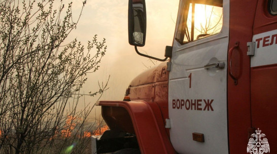 Пожар уничтожил 2 заброшенных дома и 3 сарая в Воронежской области