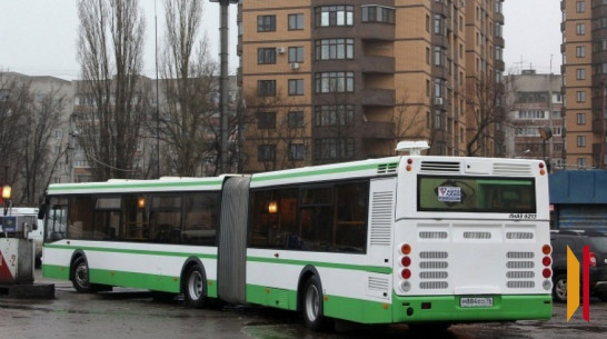 Стало известно, когда в Воронеже появятся автобусы-гармошки