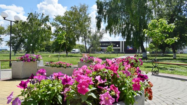 Воронежцы смогут проголосовать за новые объекты благоустройства