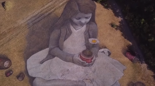 Интернет-канал «Сверху виднее Воронеж» опубликовал видео с фестиваля «Город-сад»