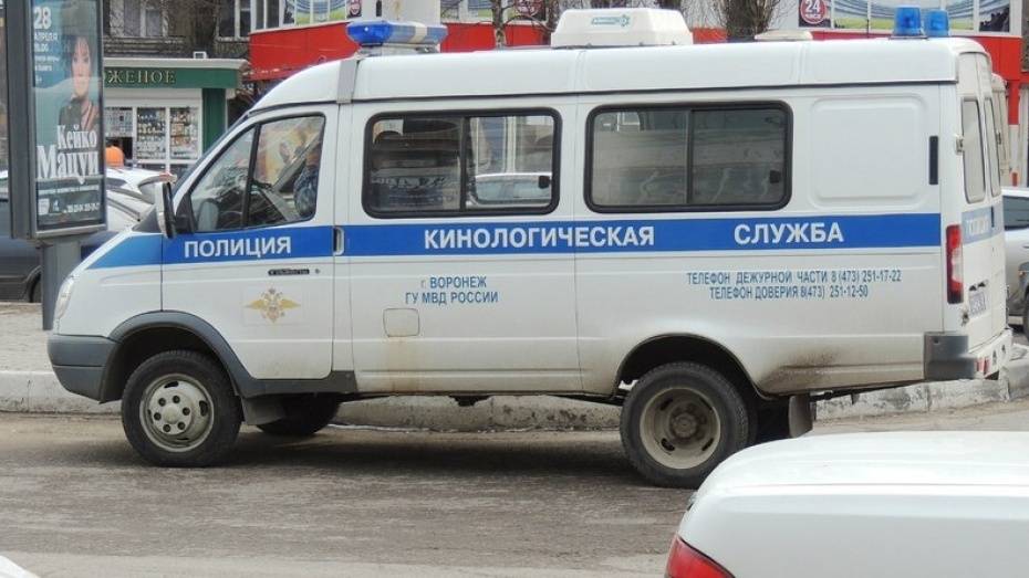 Воронежцы вызвали полицию из-за подозрительного пакета у больницы