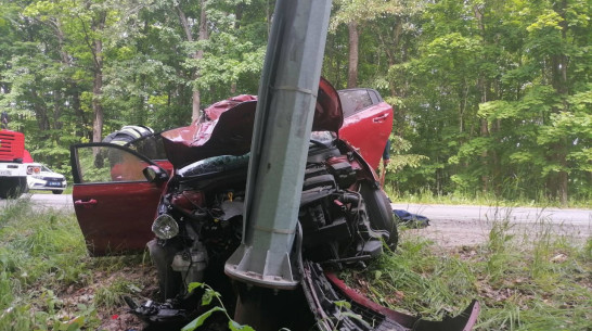 В Воронежской области автомобиль Kia сбил выбежавшего на дорогу лося и врезался в столб