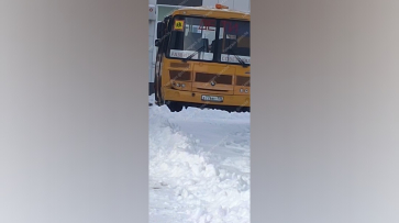 Под Воронежем школьный автобус столкнулся с легковушкой