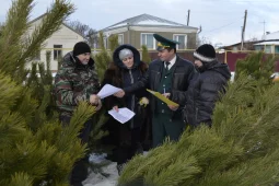 Новогодним браконьерам в Воронежской области пригрозили штрафами до 300 тыс рублей